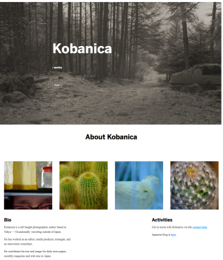 Kobanica_works
